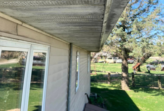 Pressure washing Before